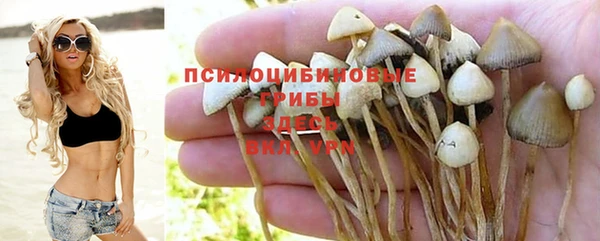 mdpv Горнозаводск